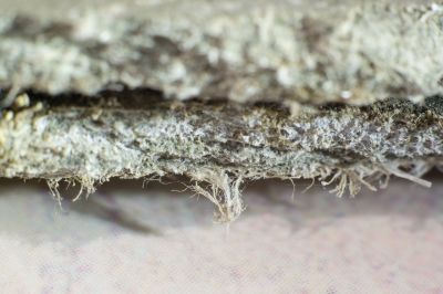 Asbestos Removal in Old Bridge, NJ