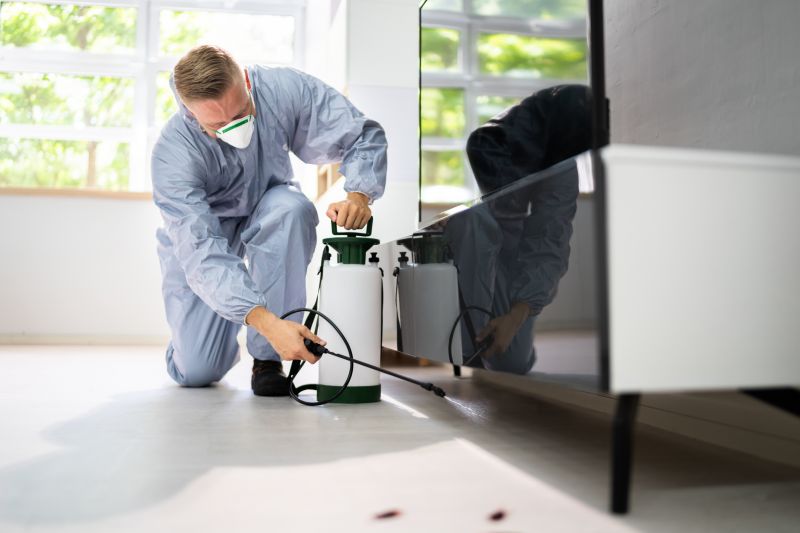 Cost of Vermiculite Removal — Cost of Vermiculite Removal