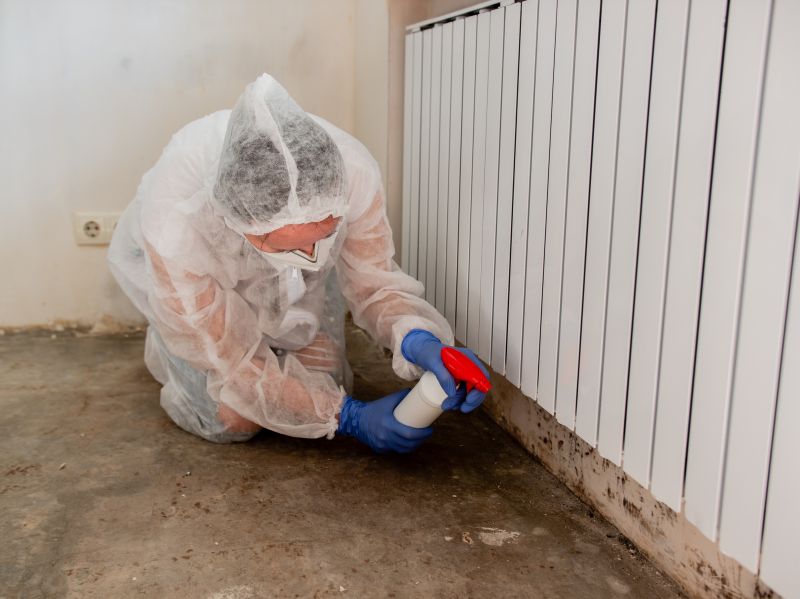 Mold Remediation Service in Bergen County, NJ