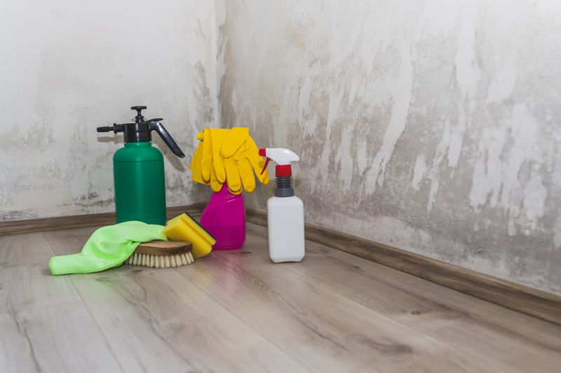 Mold Removal in West Palm Beach, FL
