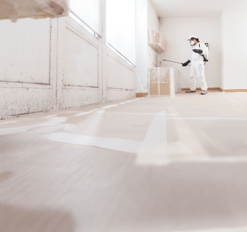 Mold Restoration in Fort Worth, TX