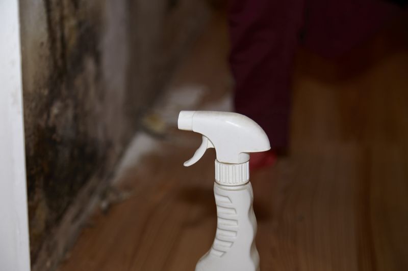 Mold Treatment Service in Jupiter, FL