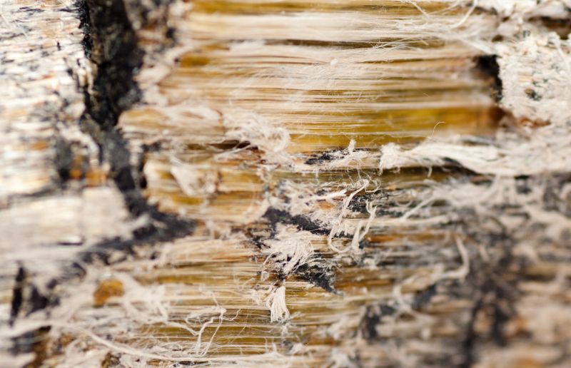 Vermiculite Remediation in Monmouth County, NJ